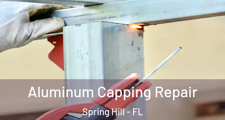  Aluminum Capping Repair Spring Hill - FL