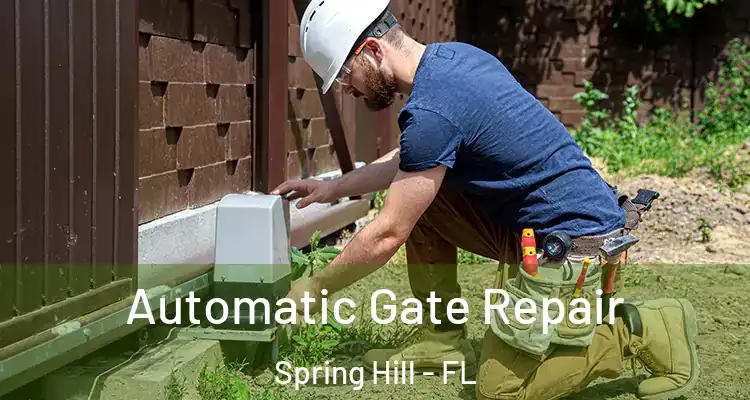  Automatic Gate Repair Spring Hill - FL