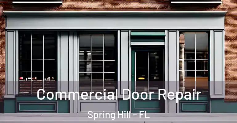  Commercial Door Repair Spring Hill - FL