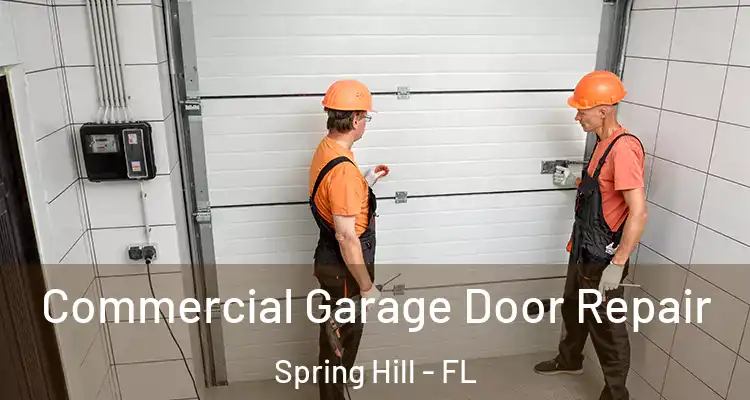  Commercial Garage Door Repair Spring Hill - FL