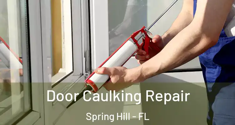  Door Caulking Repair Spring Hill - FL