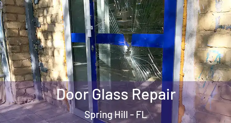  Door Glass Repair Spring Hill - FL