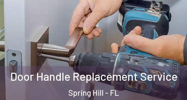  Door Handle Replacement Service Spring Hill - FL