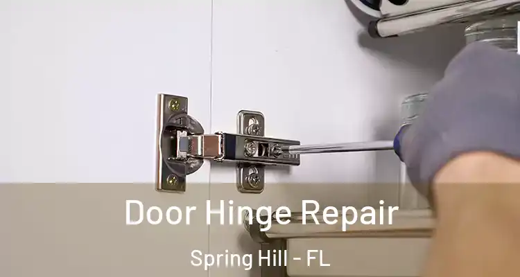  Door Hinge Repair Spring Hill - FL