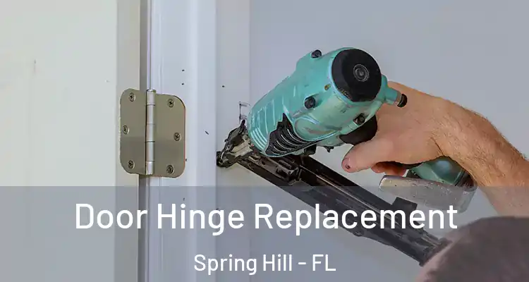  Door Hinge Replacement Spring Hill - FL