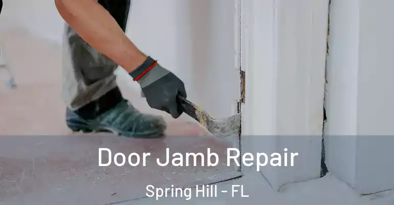  Door Jamb Repair Spring Hill - FL