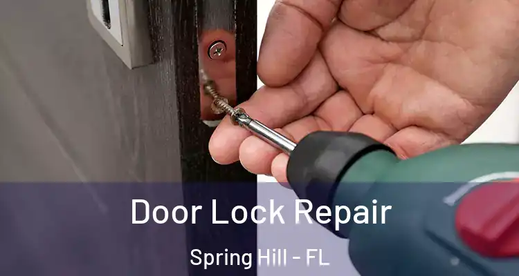  Door Lock Repair Spring Hill - FL
