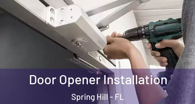  Door Opener Installation Spring Hill - FL
