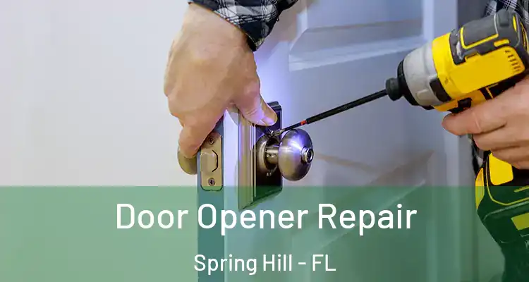 Door Opener Repair Spring Hill - FL