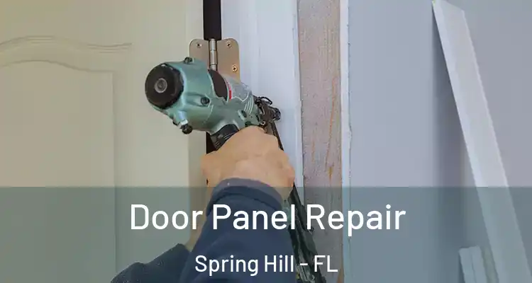  Door Panel Repair Spring Hill - FL