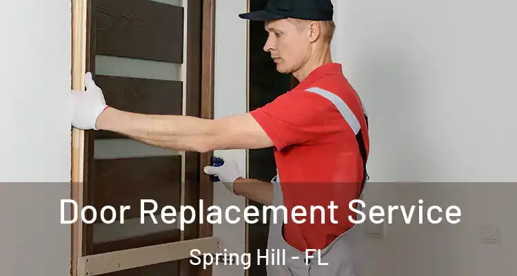  Door Replacement Service Spring Hill - FL