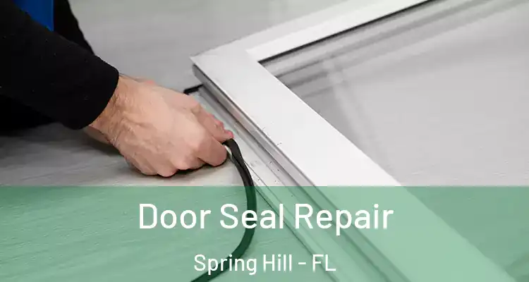  Door Seal Repair Spring Hill - FL