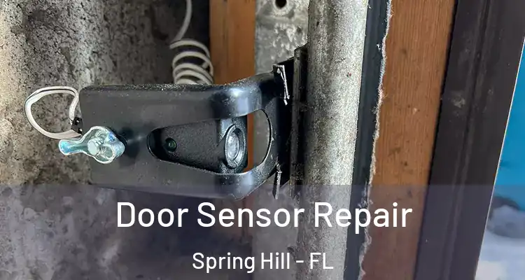  Door Sensor Repair Spring Hill - FL