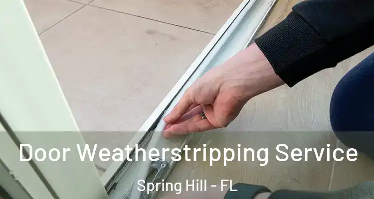  Door Weatherstripping Service Spring Hill - FL