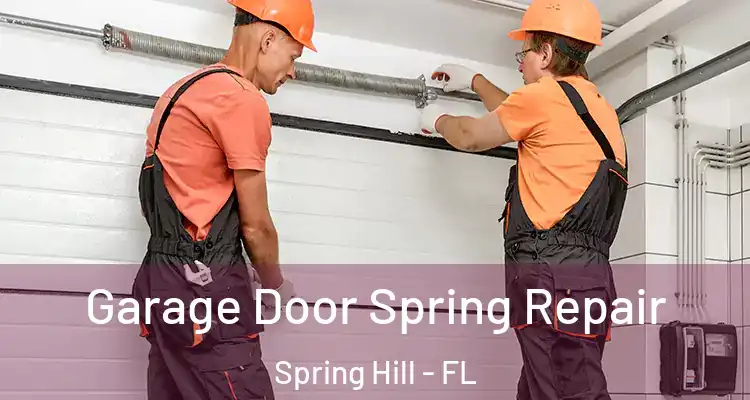  Garage Door Spring Repair Spring Hill - FL