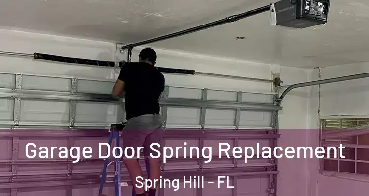 Garage Door Spring Replacement Spring Hill - FL
