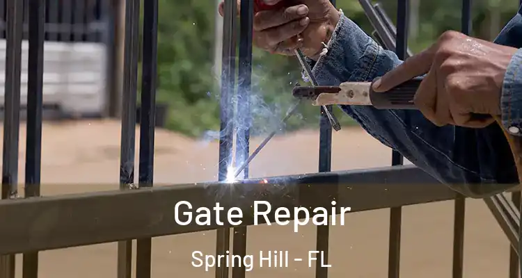  Gate Repair Spring Hill - FL