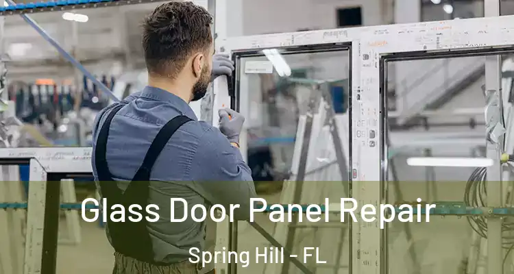  Glass Door Panel Repair Spring Hill - FL