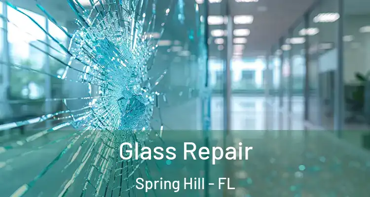  Glass Repair Spring Hill - FL