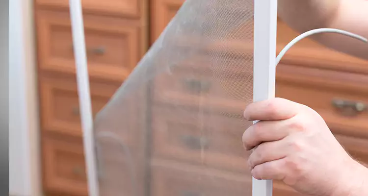 Privacy Mesh Screen Door Installation in Spring Hill, FL