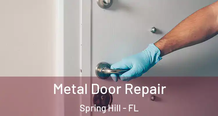  Metal Door Repair Spring Hill - FL