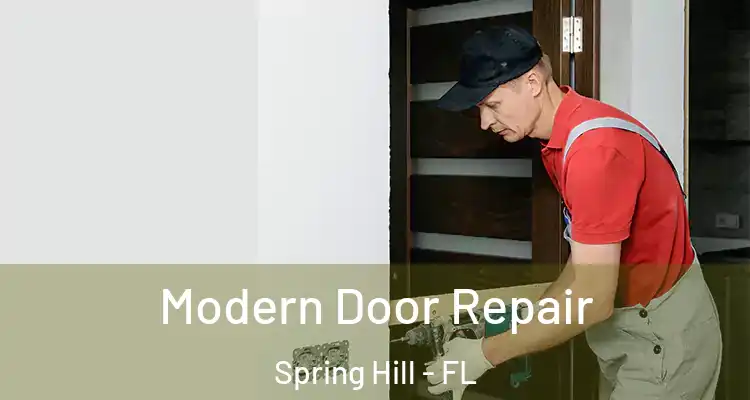  Modern Door Repair Spring Hill - FL