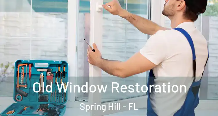 Old Window Restoration Spring Hill - FL