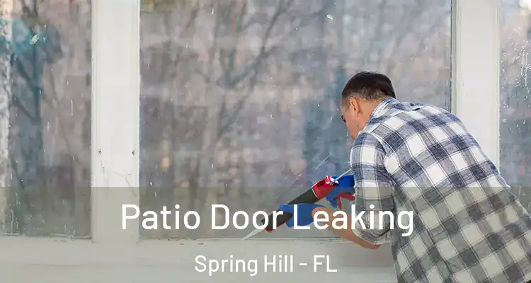 Patio Door Leaking Spring Hill - FL