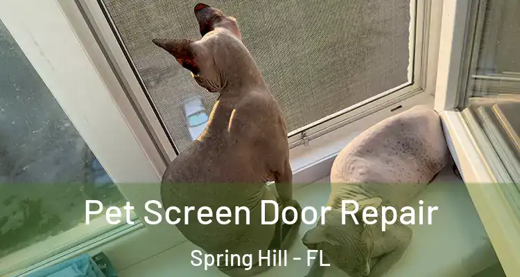  Pet Screen Door Repair Spring Hill - FL