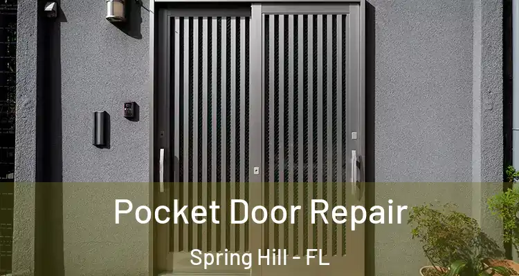  Pocket Door Repair Spring Hill - FL