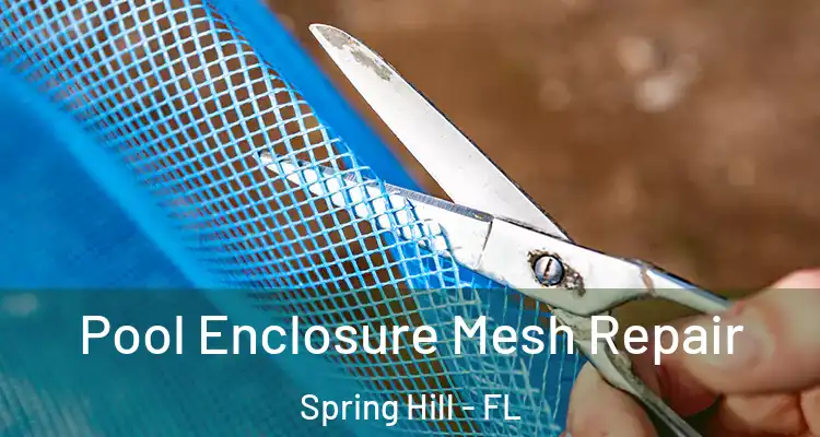  Pool Enclosure Mesh Repair Spring Hill - FL
