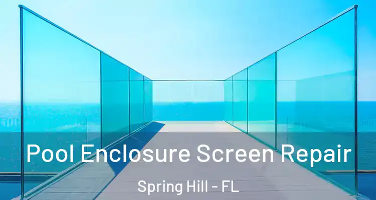  Pool Enclosure Screen Repair Spring Hill - FL