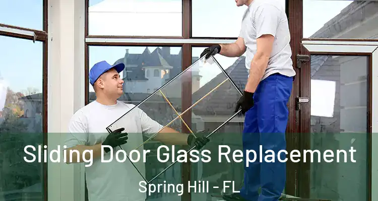  Sliding Door Glass Replacement Spring Hill - FL