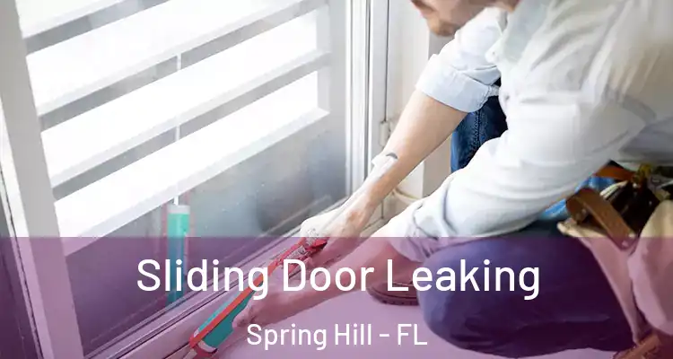  Sliding Door Leaking Spring Hill - FL