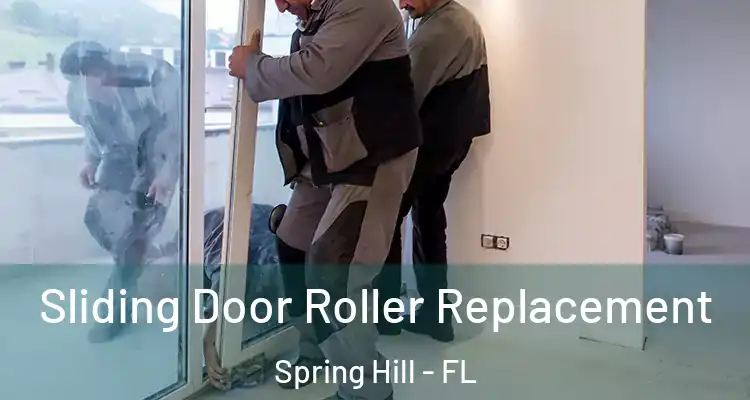  Sliding Door Roller Replacement Spring Hill - FL