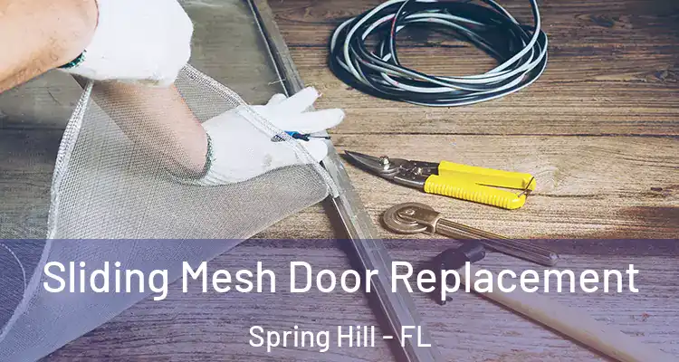 Sliding Mesh Door Replacement Spring Hill - FL