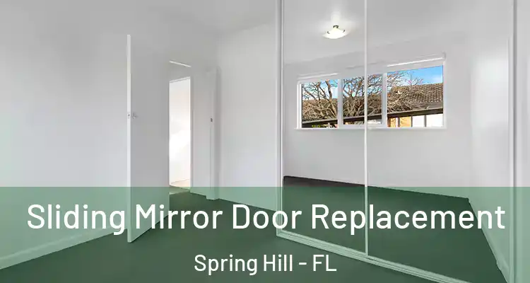  Sliding Mirror Door Replacement Spring Hill - FL
