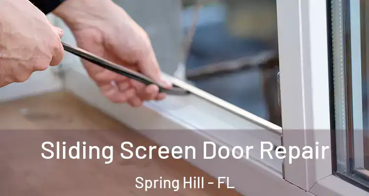  Sliding Screen Door Repair Spring Hill - FL