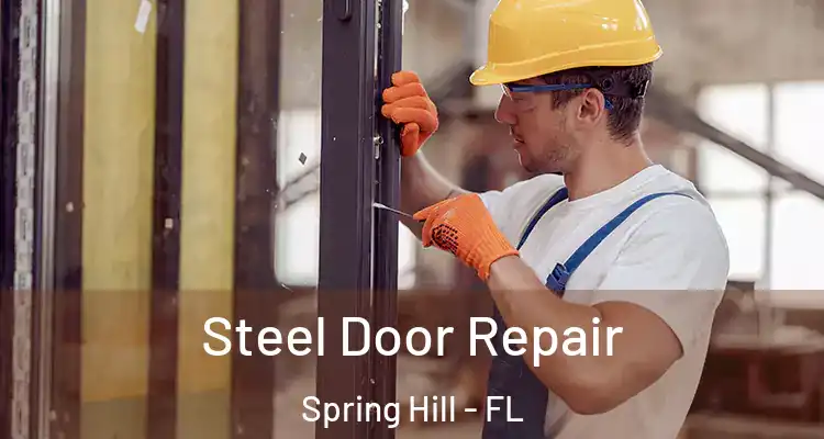  Steel Door Repair Spring Hill - FL