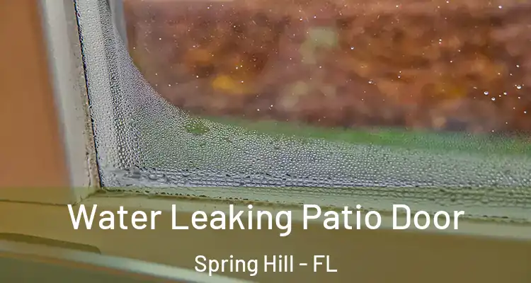  Water Leaking Patio Door Spring Hill - FL