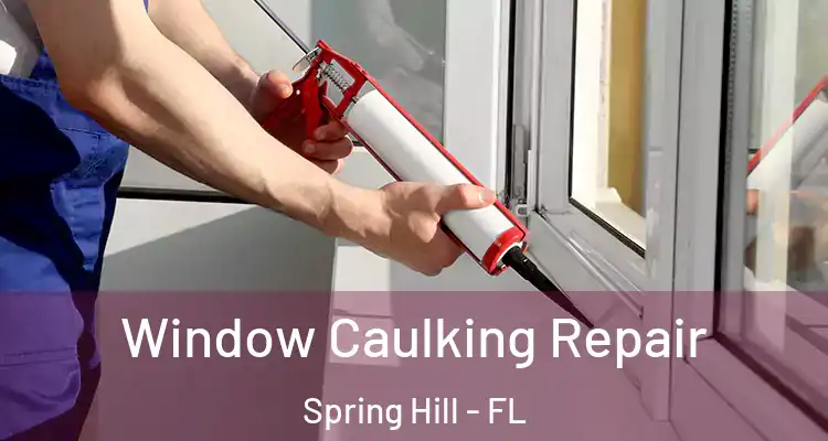  Window Caulking Repair Spring Hill - FL