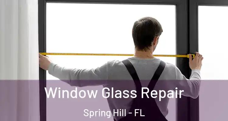  Window Glass Repair Spring Hill - FL