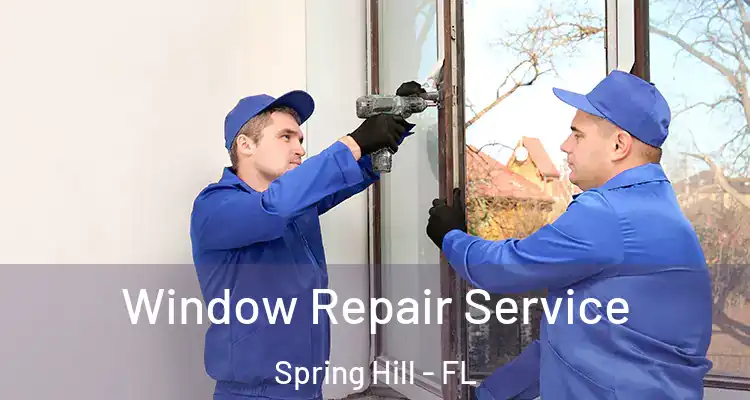  Window Repair Service Spring Hill - FL