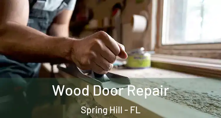 Wood Door Repair Spring Hill - FL